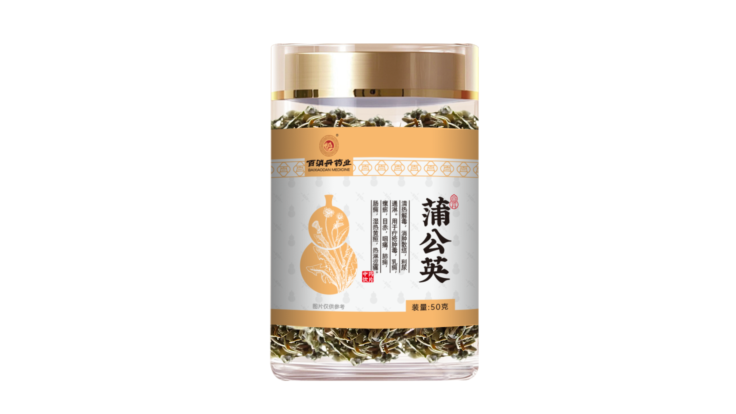 蒲公英